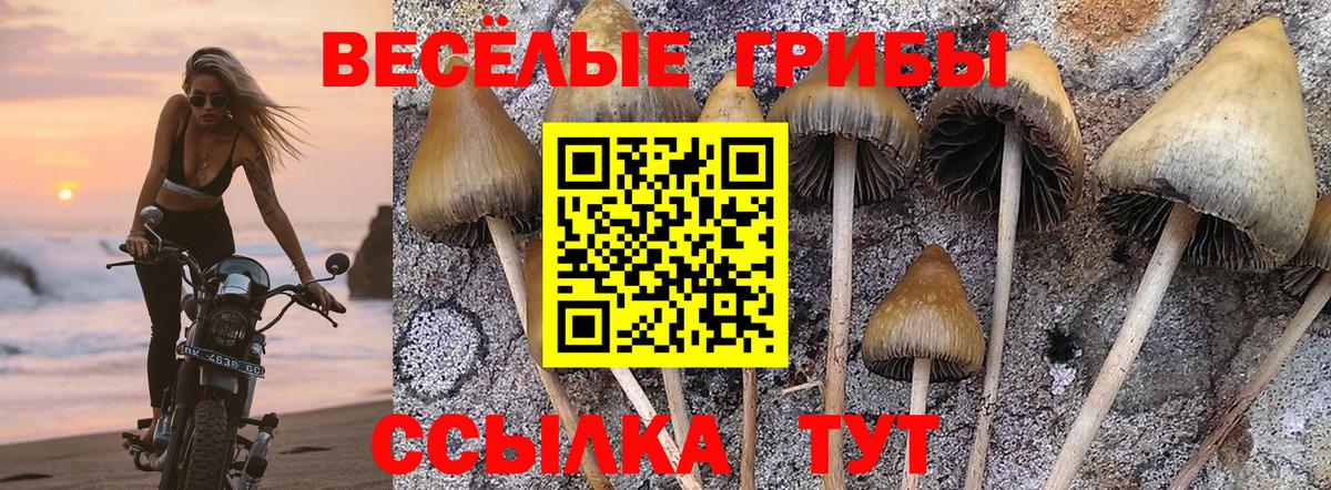 Ухта  Псилоцибиновые грибы GOLDEN TEACHER  как найти   Псилоцибиновые грибы Cubensis  Вход с VPN 