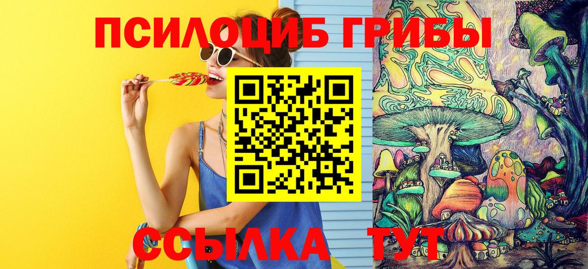 Галлюциногенные грибы Psilocybine cubensis Ухта